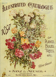 IOD - First Gen Products - Decor Transfers